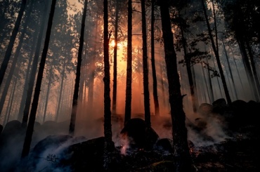 В Бурятии тушат 6 лесных пожаров