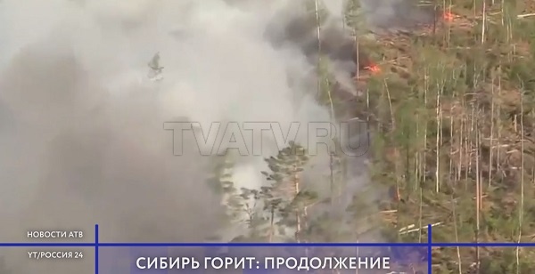 Площадь горящих лесов в Сибири увеличилась