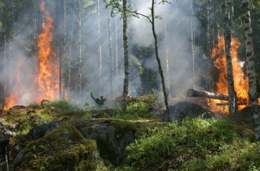 В Северо-Байкальском районе тушат лесной пожар