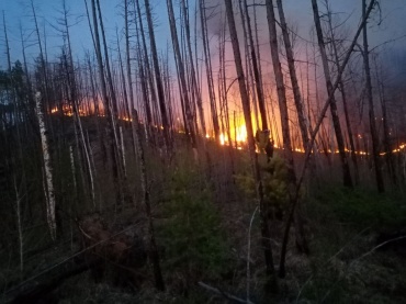 В Бурятии локализовали сложный лесной пожар