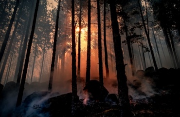 В Бурятии тушат пожар в Забайкальском нацпарке