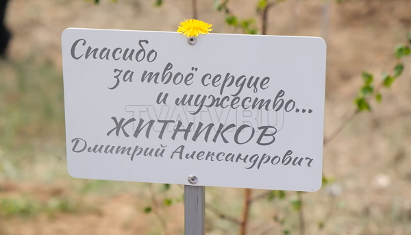 «Дерево героя». В парках Улан-Удэ высадили аллеи памяти погибших на СВО