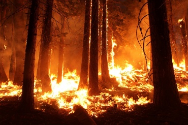 В Бурятии лесники борются сразу с девятью пожарами