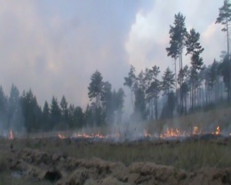 Более 700 лесных пожаров потушили с начала года