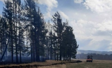 В Бурятии потушили 9 лесных пожаров