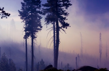 В Бурятии потушили 4 лесных пожара
