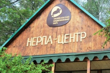 На Байкале открыли "Нерпа-центр"