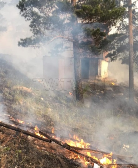 Лесной пожар потушили в пригороде Улан-Удэ