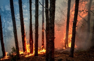 В Бурятии тушат лесной пожар в Селенгинском районе
