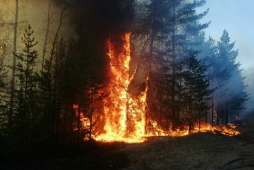 В Иволгинском районе тушат крупный лесной пожар