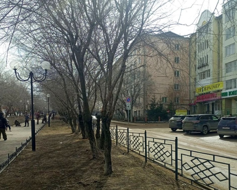 Городские лесничие привели в порядок деревья на бульваре Карла Маркса Городские лесничие привели в порядок деревья на бульваре Карла Маркса