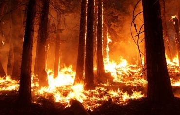 В Бурятии тушат 4 лесных пожара