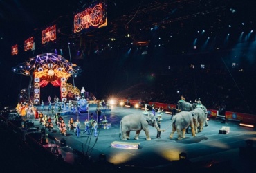 В России введут "пенсии" для цирковых животных