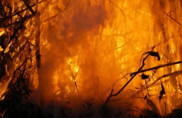 В Бурятии тушили 9 лесных пожаров