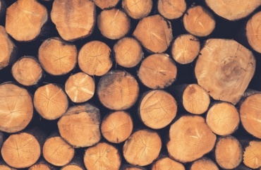 Житель Бурятии напилил дров почти на 200 тысяч рублей