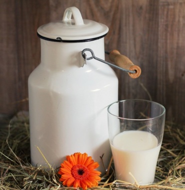 В Бурятии впервые пройдет фестиваль молока