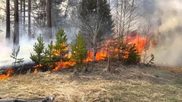 В Бурятии за выходные потушили 2 лесных пожара