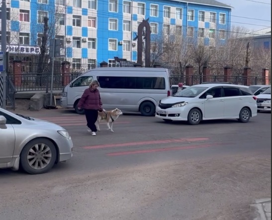 В улан-Удэ временно перенесли пешеходный переход на улице Смолина В улан-Удэ временно перенесли пешеходный переход на улице Смолина