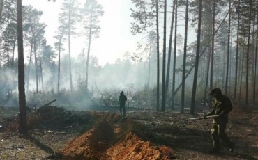 В Бурятии по вине человека за сутки сгорели около 4 га леса