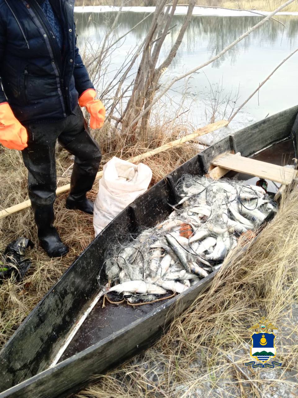 Омуль дорого обошелся жителю Бурятии Омуль дорого обошелся жителю Бурятии