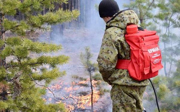 Лесники Бурятии проводят профилактические выжигания Лесники Бурятии проводят профилактические выжигания