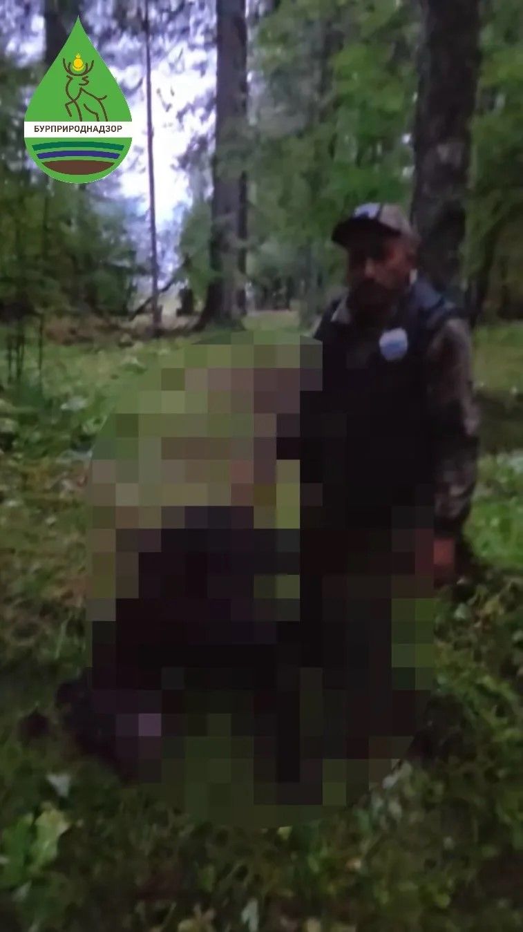 На севере Бурятии ликвидировали напавшего на человека медведя На севере Бурятии ликвидировали напавшего на человека медведя