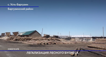 В Баргузинском районе Бурятии лесозаготовителей обязали работать "по-белому"