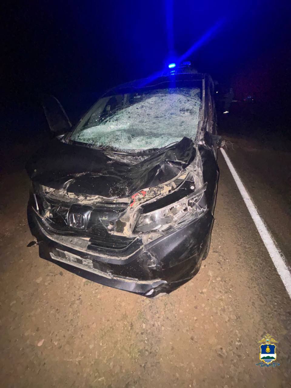 В Бурятии водитель «Хонды» сбил лошадь. Пострадали два человека В Бурятии водитель «Хонды» сбил лошадь. Пострадали два человека