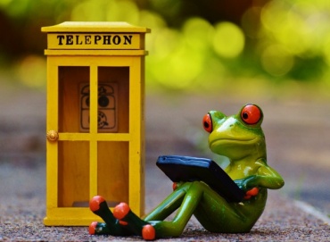 В Австралии изобрели телефон для общения с жабами