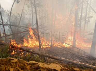 В Бурятии лесной пожар потушили около села