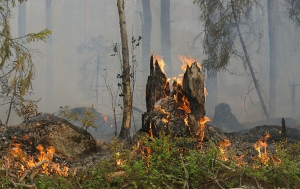 В Бурятии потушили 3 лесных пожара