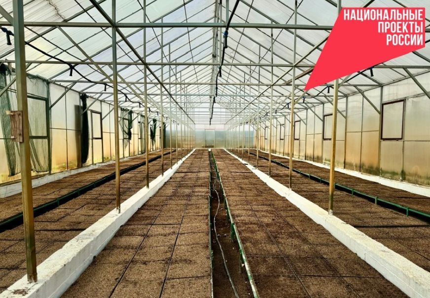 Лесники Бурятии посеяли почти 400 000 молодых сосен Лесники Бурятии посеяли почти 400 000 молодых сосен