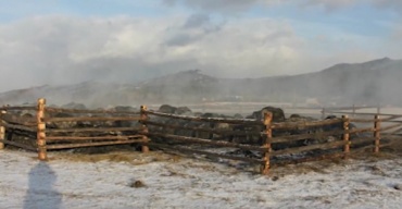 Житель Бурятии сжег сено на 2 млн рублей