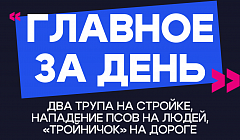 Главное за день: два трупа на стройке, нападение псов на людей и «тройничок» на дороге