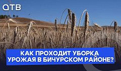 «Что посеешь, то и пожнёшь» | Как проходит уборка урожая в Бичурском районе?