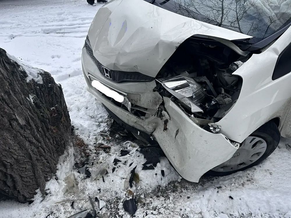 В Бурятии три человека пострадали в ДТП с деревом В Бурятии три человека пострадали в ДТП с деревом