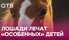 Лошади лечат «особенных» детей в Улан-Удэ