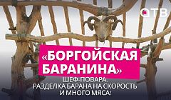 Шеф-повара, разделка барана на скорость и много мяса! Анонс фестиваля «Боргойская баранина»