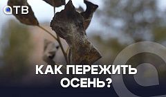 Как пережить осень? Что такое сезонная хандра и как с ней бороться