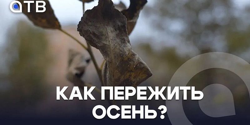Как пережить осень? Что такое сезонная хандра и как с ней бороться