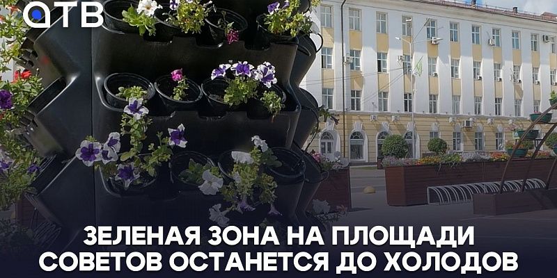 Зеленая зона на площади Советов останется до холодов