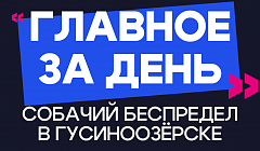 Главное за день: собачий беспредел в Гусиноозёрске
