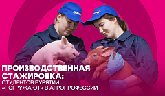 Производственная стажировка: студентов Бурятии «погружают» в агропрофессии