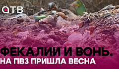Фекалии и вонь. На ПВЗ пришла весна