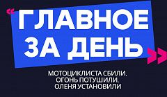 Главное за день: мотоциклиста сбили, огонь потушили, оленя установили