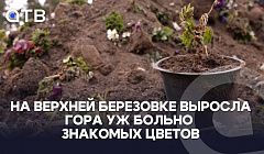 Арт-объект «Прощай, лето». На Верхней Березовке выросла гора уж больно знакомых цветов