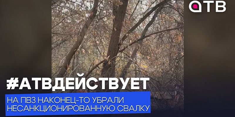 Крысы, бомжи и пожары. На ПВЗ наконец-то убрали несанкционированную свалку #АТВдействует