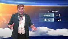 Кто убил медведя?