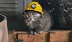 Более половины жителей Улан-Удэ считают чувство юмора необходимым в своей профессии