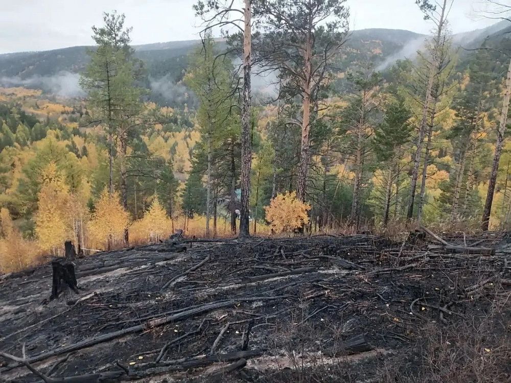 Возникший по вине человека лесной пожар в Иволгинском районе Бурятии потушили Возникший по вине человека лесной пожар в Иволгинском районе Бурятии потушили